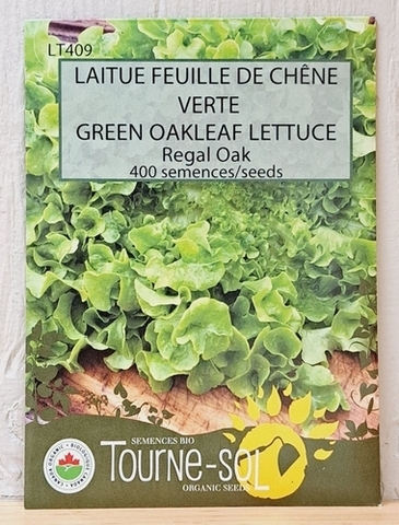 SEEDS - Lettuce Green Oakleaf (Tourne-sol)